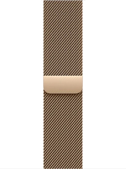 Apple Watch Series 11 LTE 42 мм (титан)